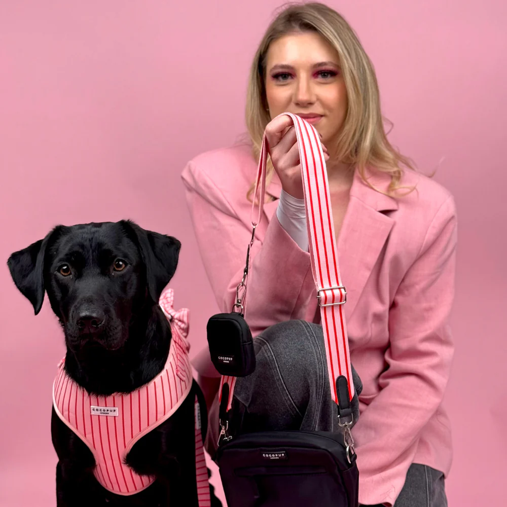 Bag Strap - Candy Stripe - Image 7