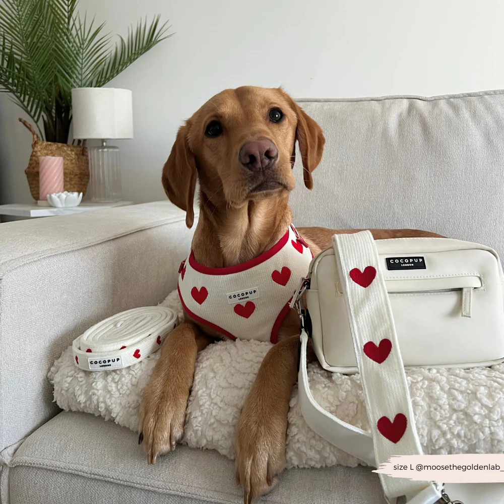 Bag Strap - Hugs & Knitted - Image 9