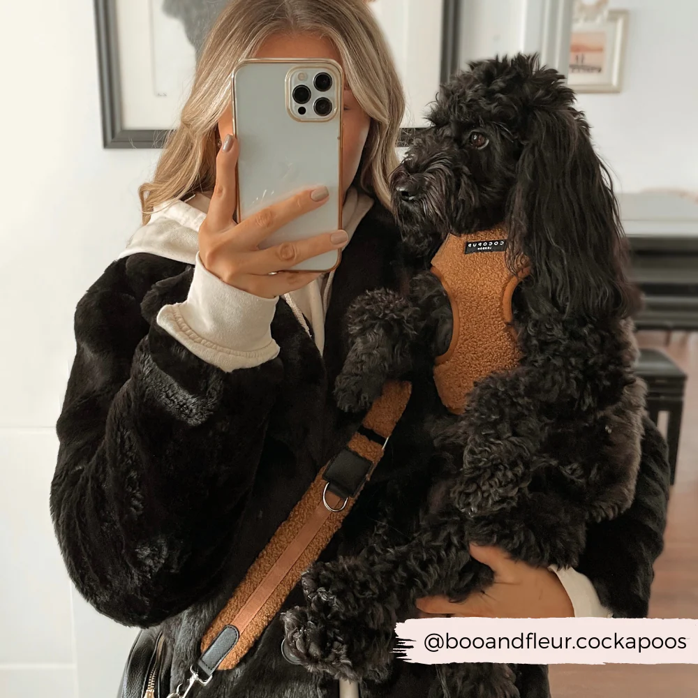 Teddy Bag Strap - Paddington - Image 3
