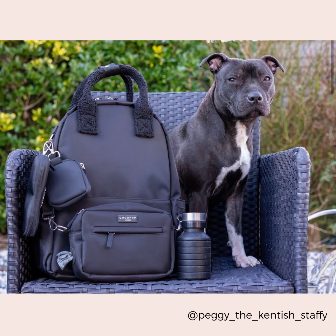 Backpack - Black - Image 11