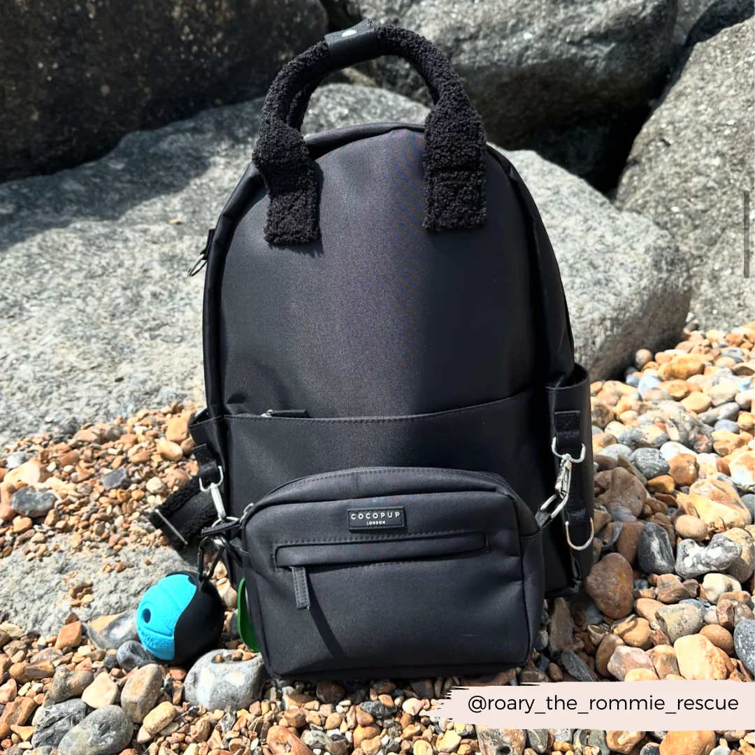 Backpack - Black - Image 13