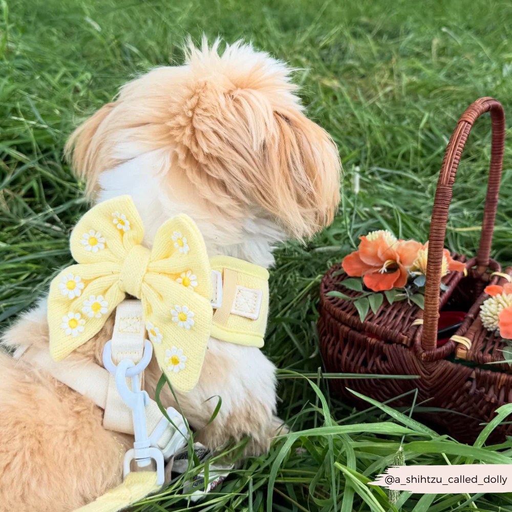 Buttercup Pup Sailor Bow Tie - Image 6