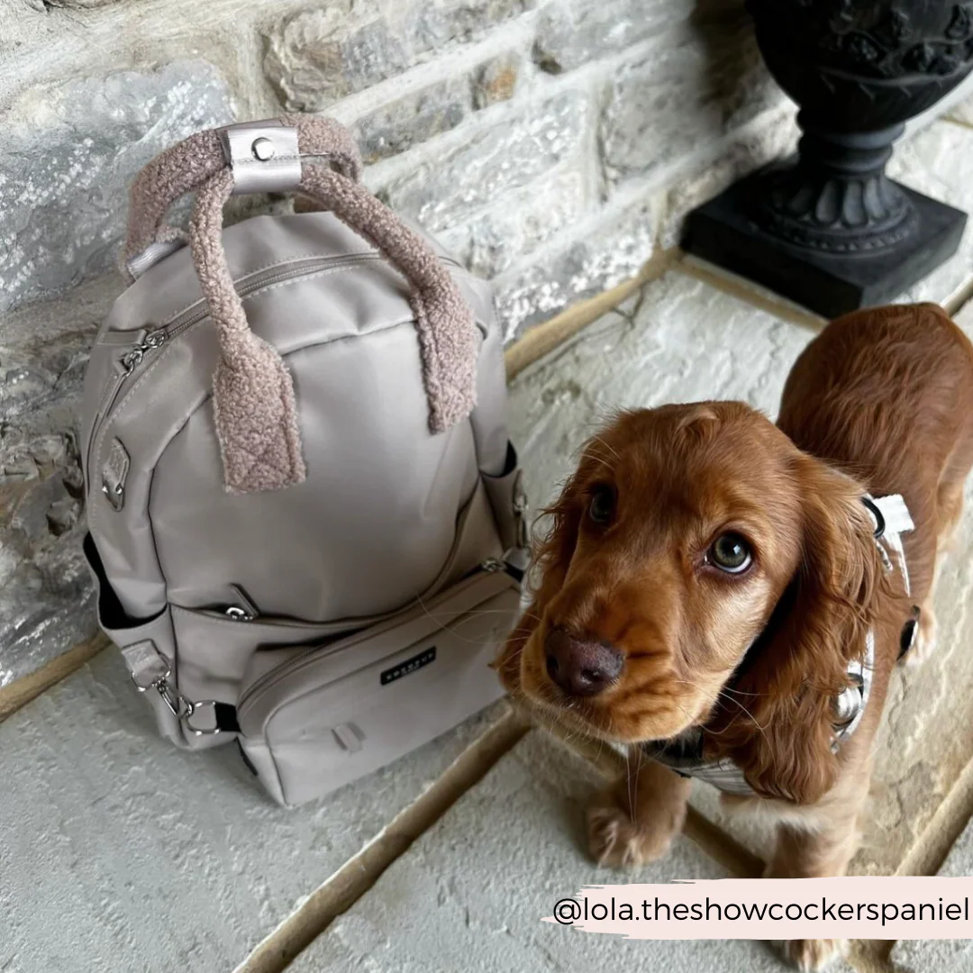 Backpack - Caramel Latte - Image 19