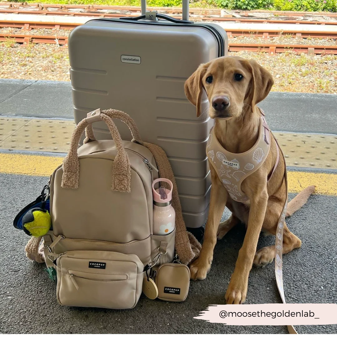Backpack - Caramel Latte - Image 20