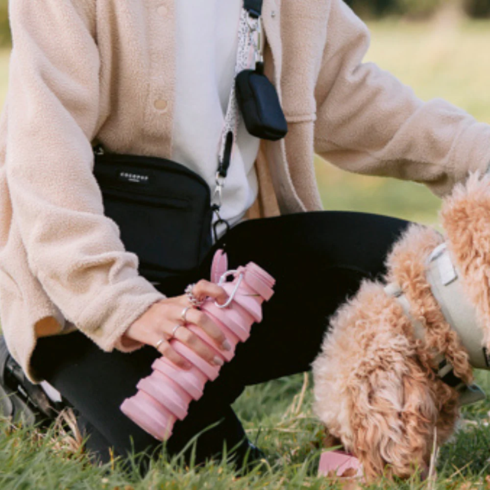Collapsible Water Bottle - Pink - Image 6