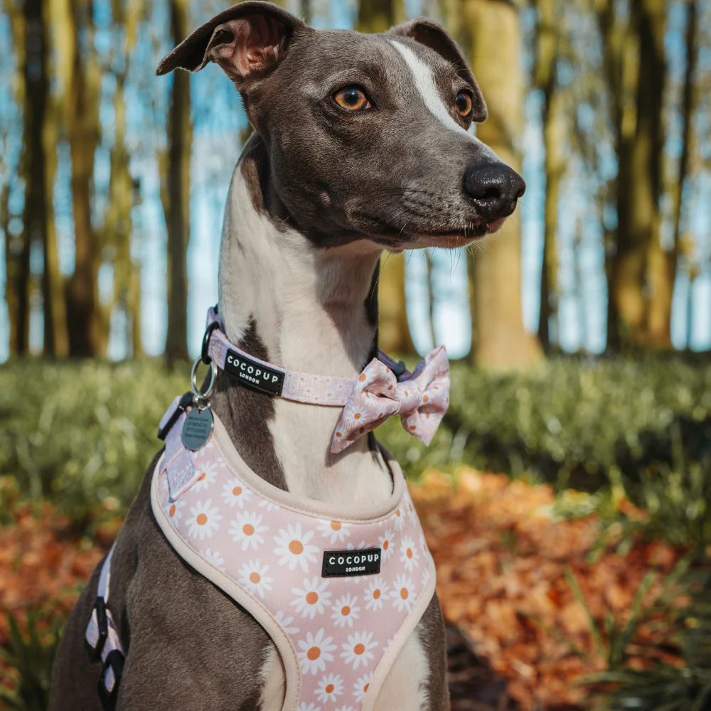Daisy Chain Bow Tie - Image 4
