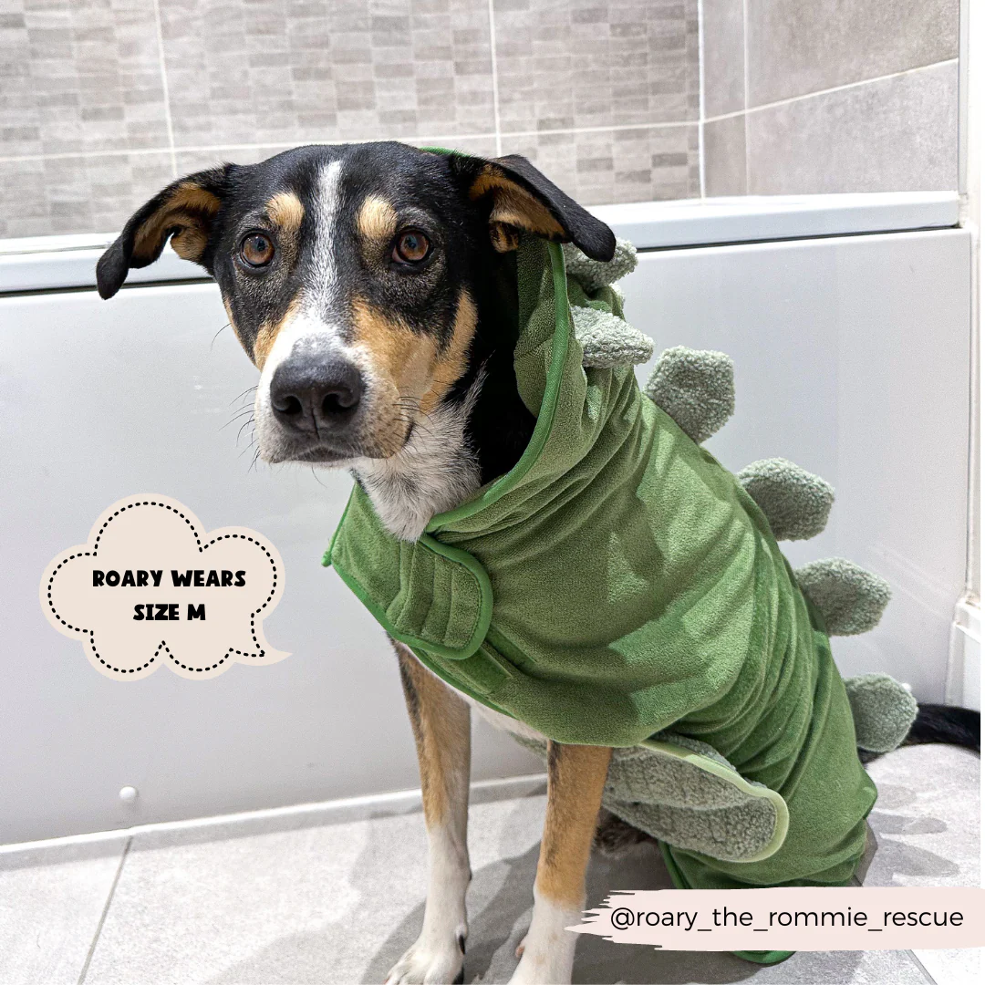 Dinopup Drying Robe - Image 9
