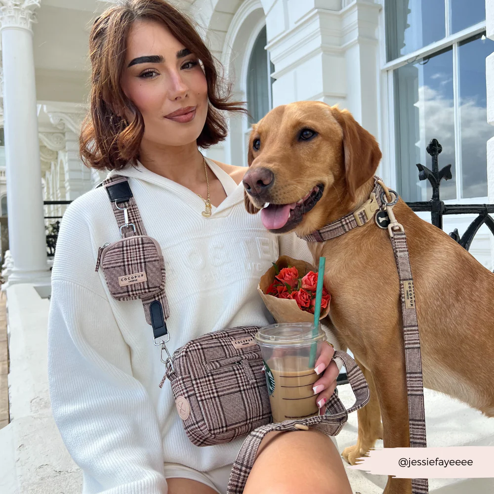 Bag Strap - Pup Plaid - Image 7