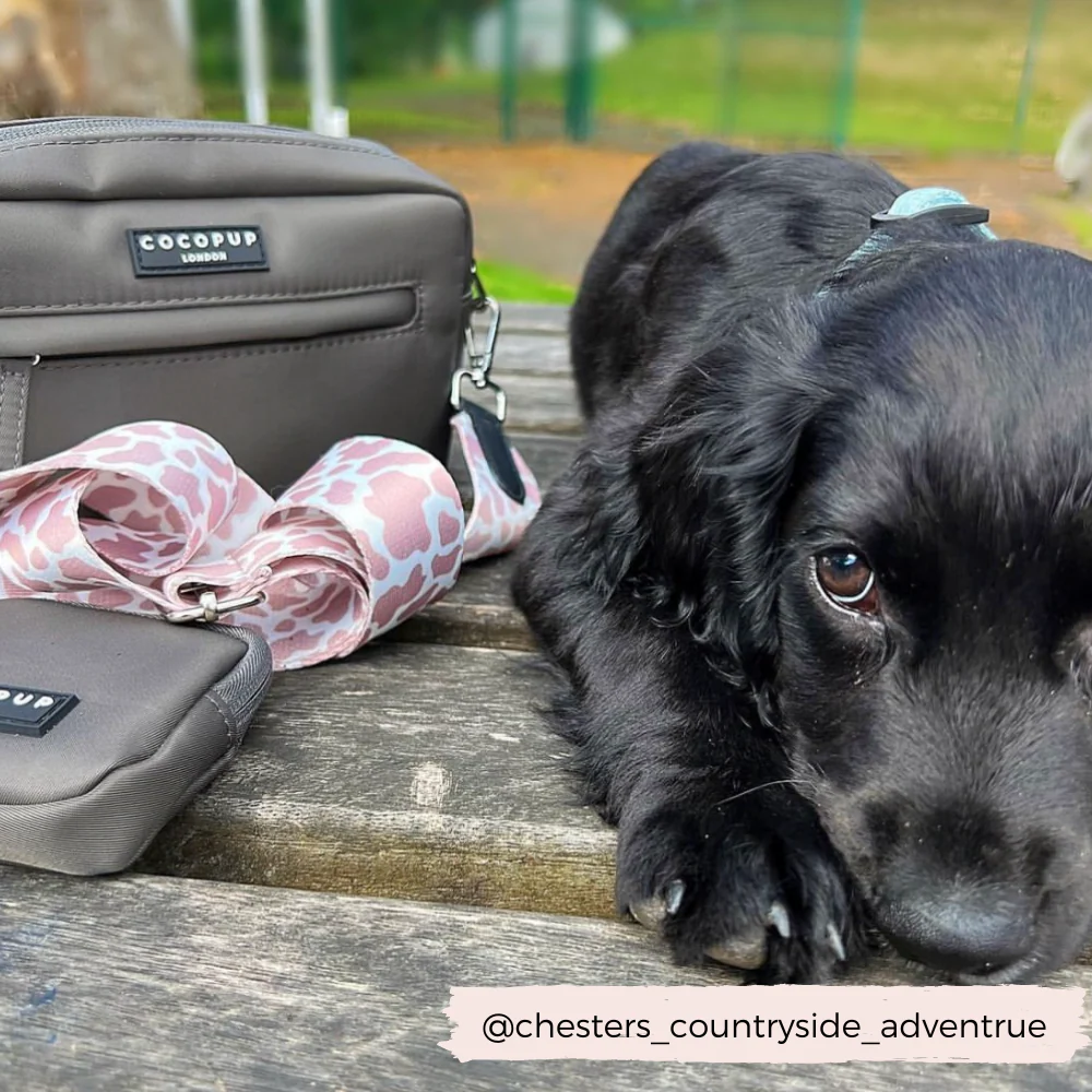 Dog Walking Bag - Mocha - Image 5