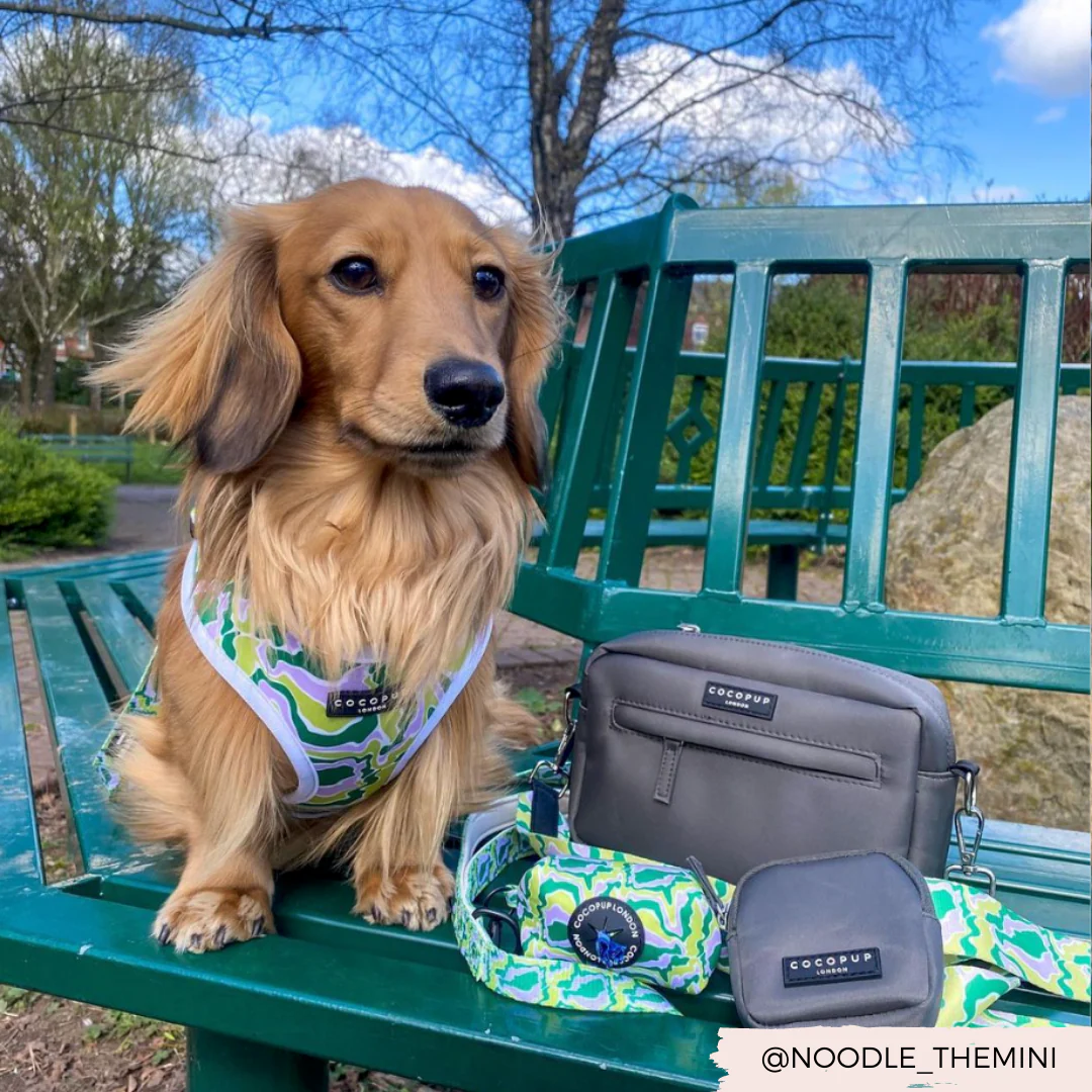 Dog Walking Bag - Mocha - Image 7