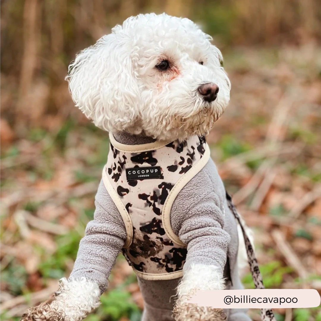 Ivory Tort Adjustable Neck HARNESS - Image 8