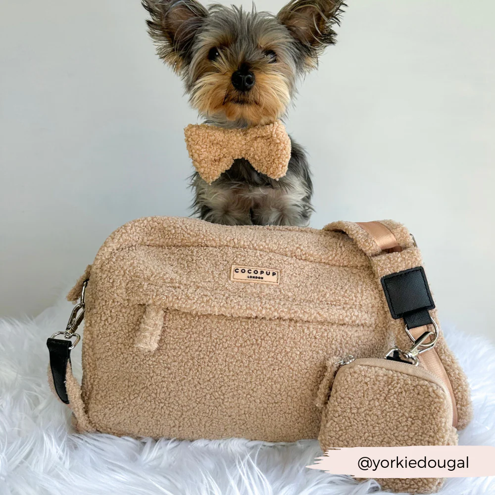 Large Teddy Rupert Dog Walking Bag Bundle - Teddy Rupert - Image 12