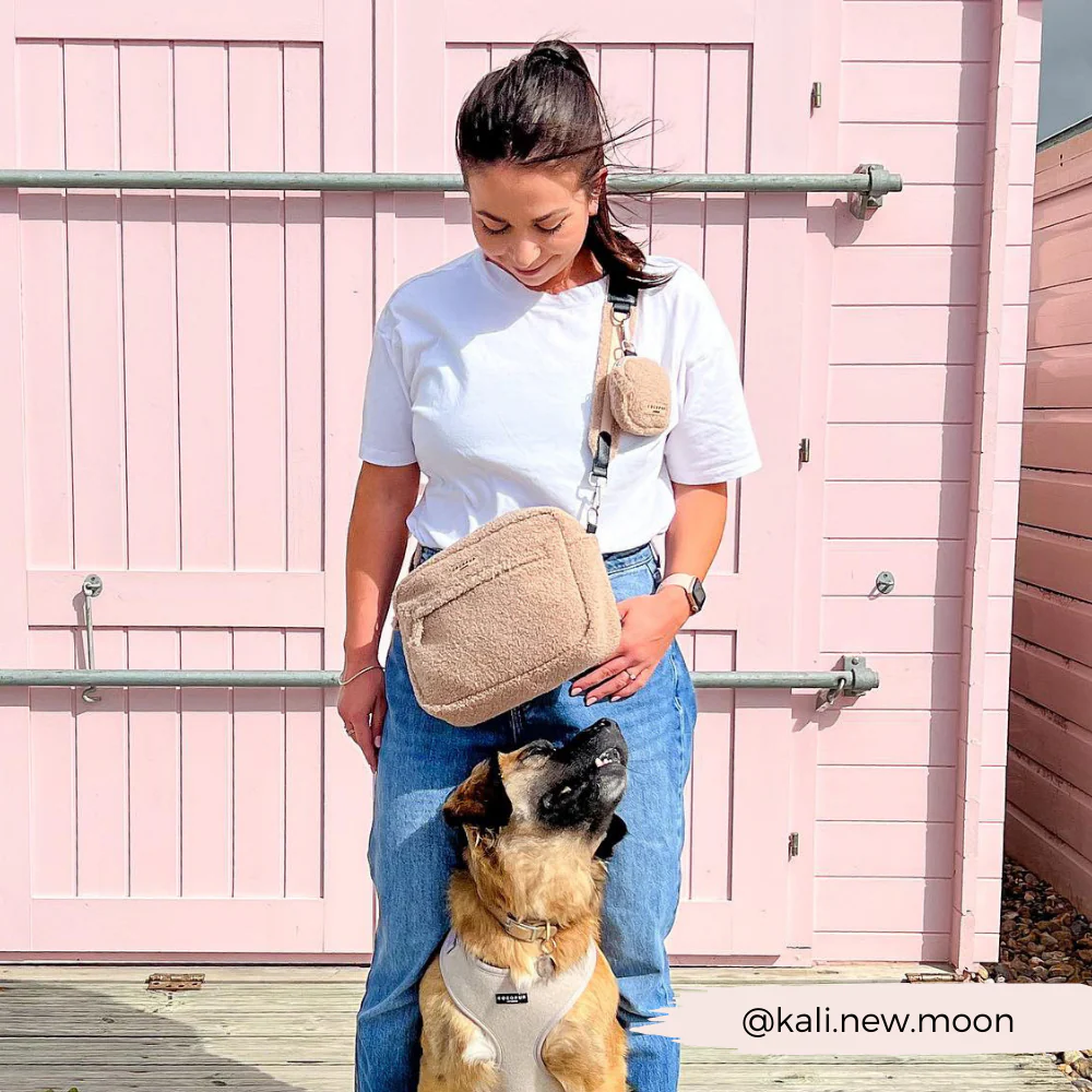 Large Teddy Rupert Dog Walking Bag Bundle - Teddy Rupert - Image 8
