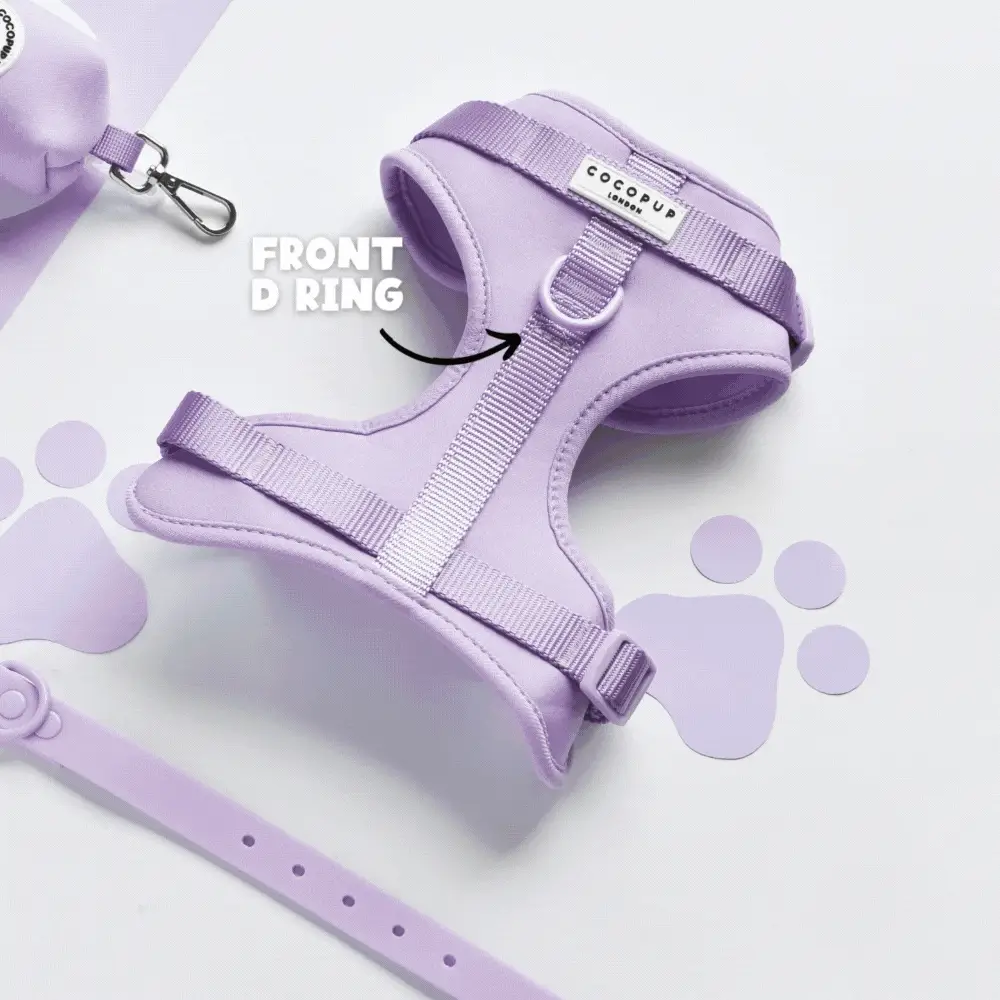 NAKD Adjustable Neck Harness - Biscuit - Image 5