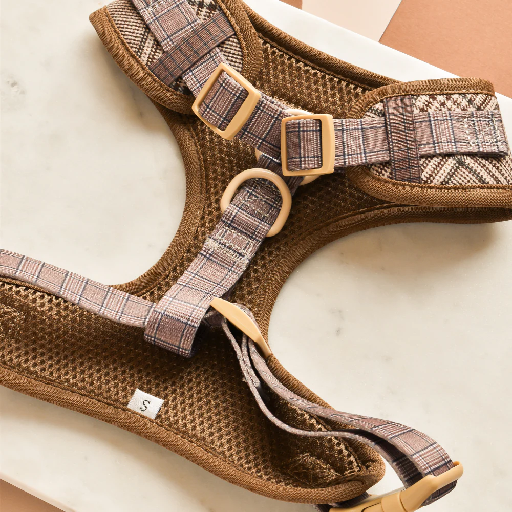 Pup Plaid Adjustable Neck HARNESS - Image 3