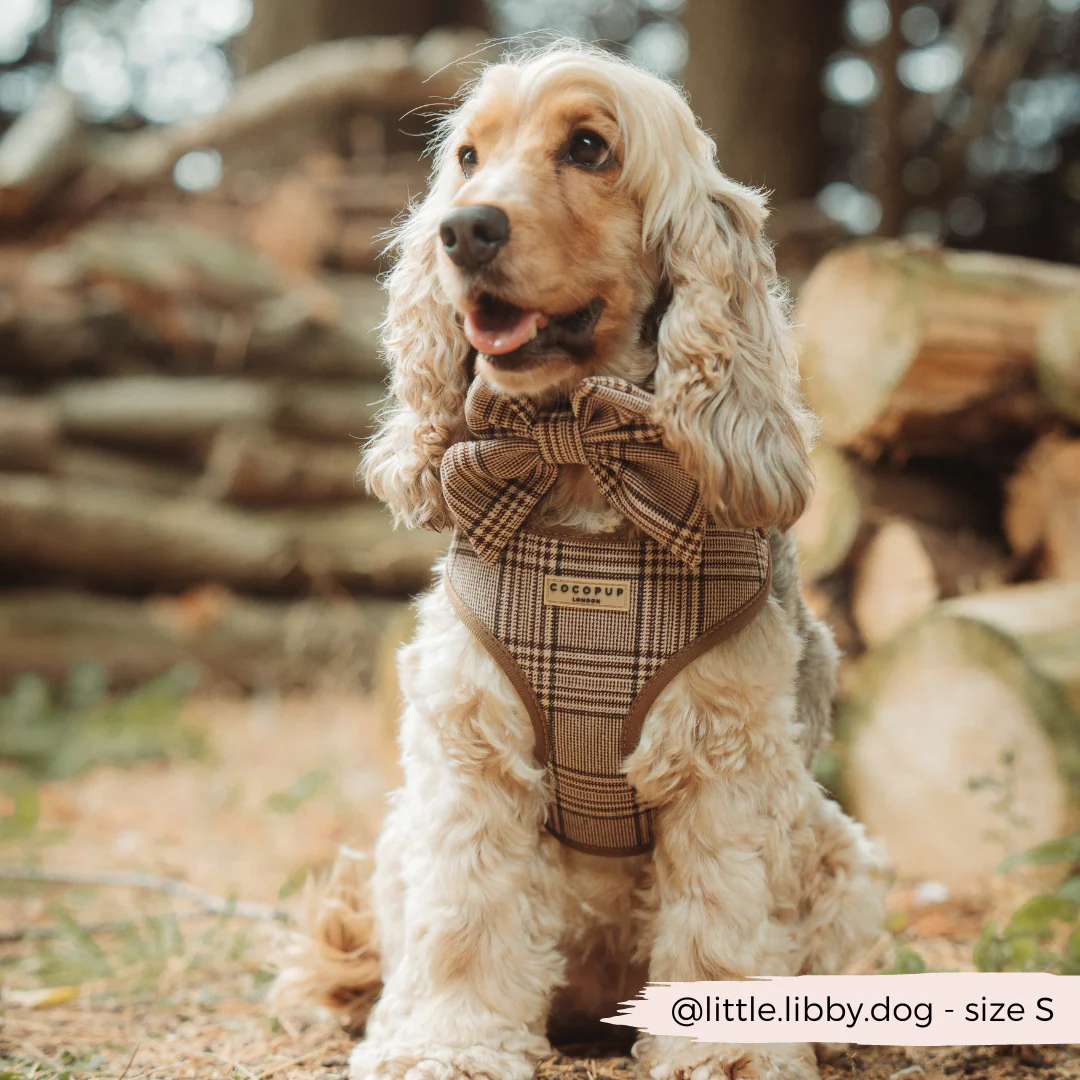 Pup Plaid Adjustable Neck HARNESS - Image 8