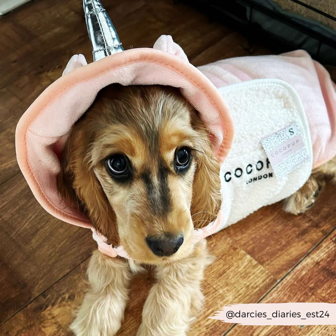 Pupicorn Drying Robe - Image 20