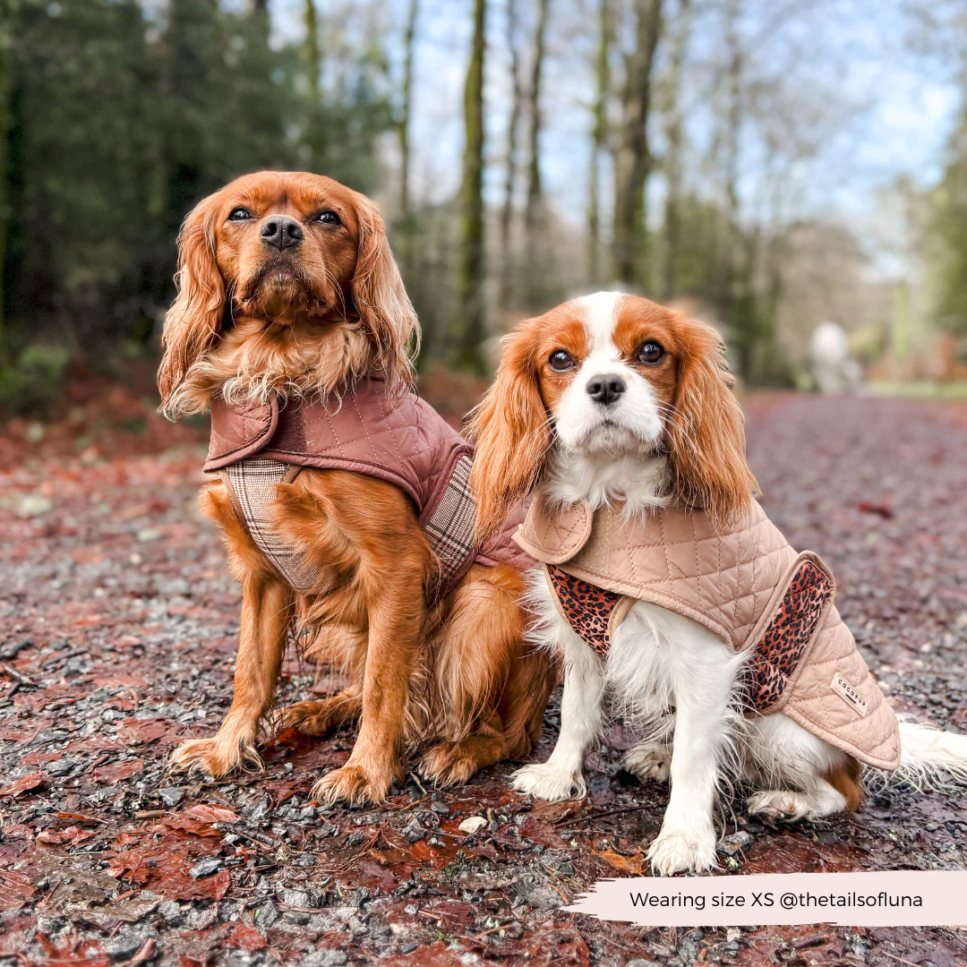 Quilted Dog Coat - Pup Plaid - Image 10