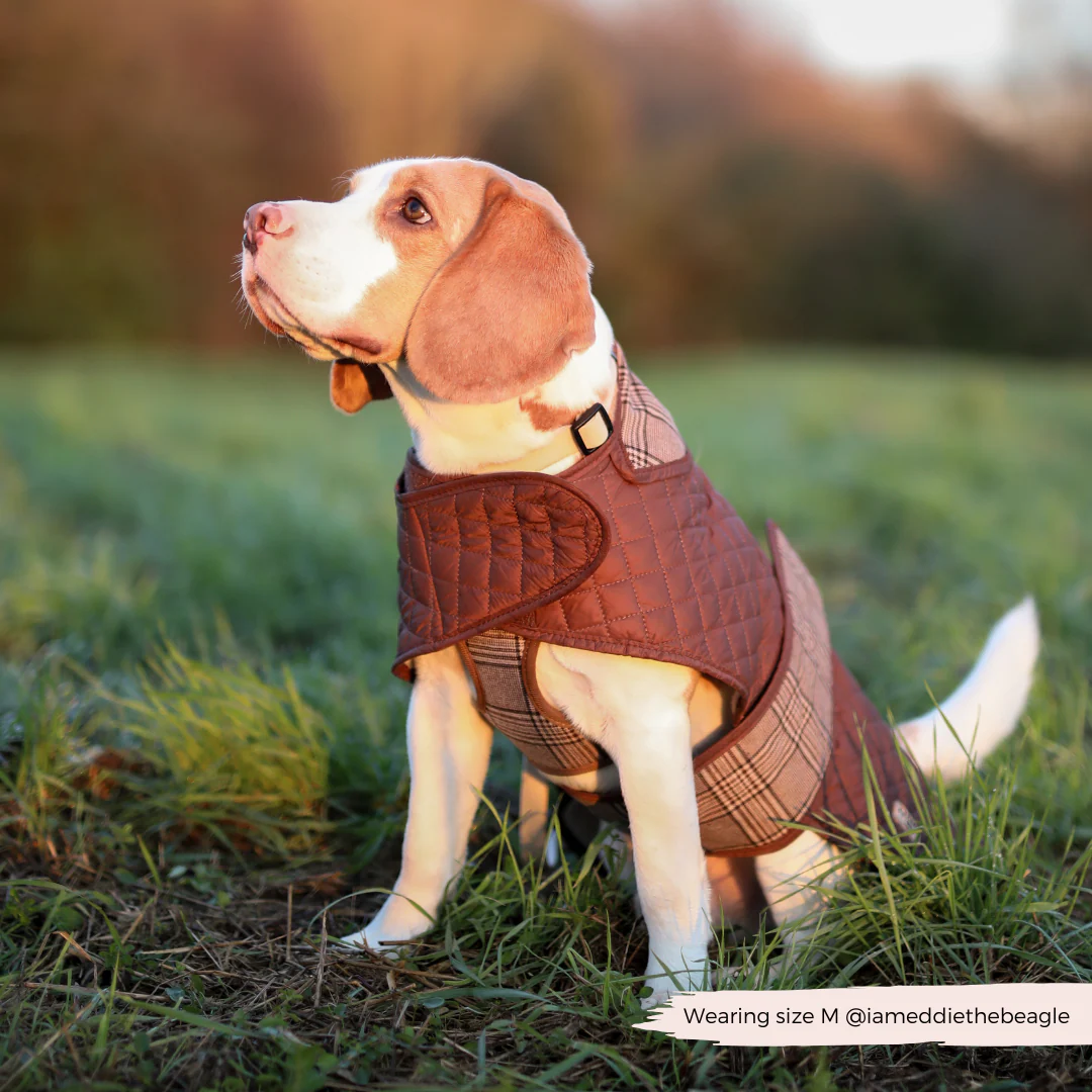 Quilted Dog Coat - Pup Plaid - Image 16