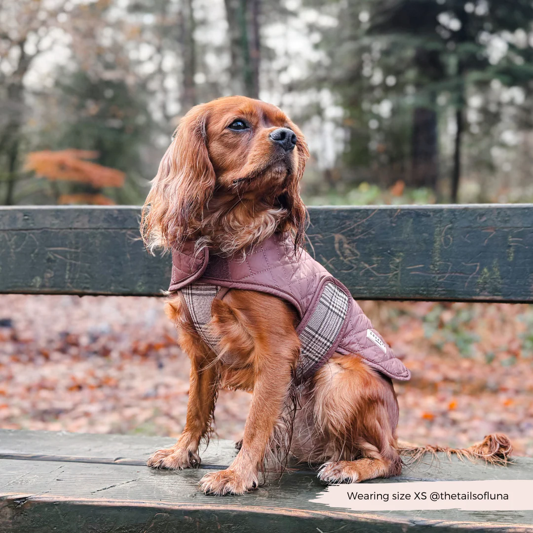 Quilted Dog Coat - Pup Plaid - Image 17