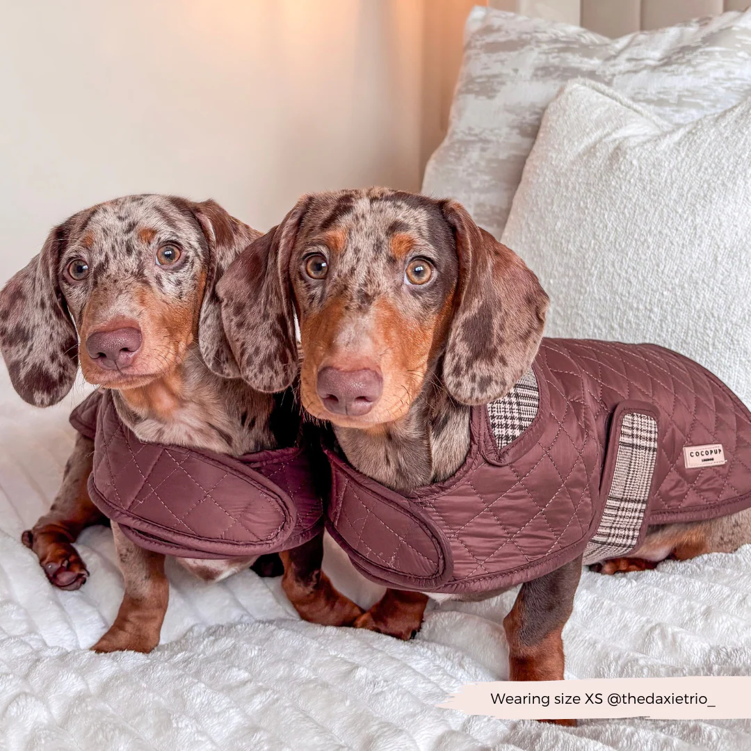 Quilted Dog Coat - Pup Plaid - Image 19