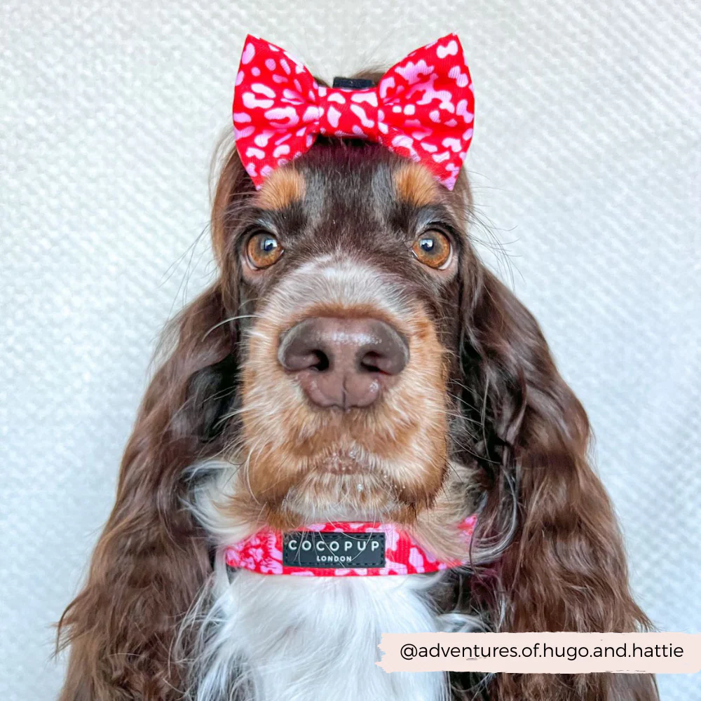 Red & Pink Leopard Bow Tie - Image 7