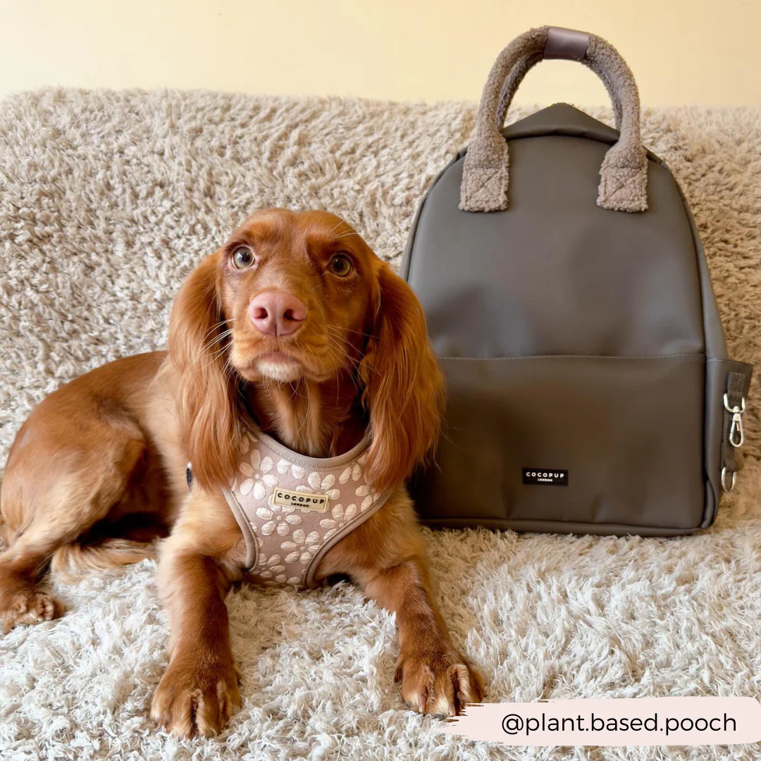 Backpack - Mocha - Image 4