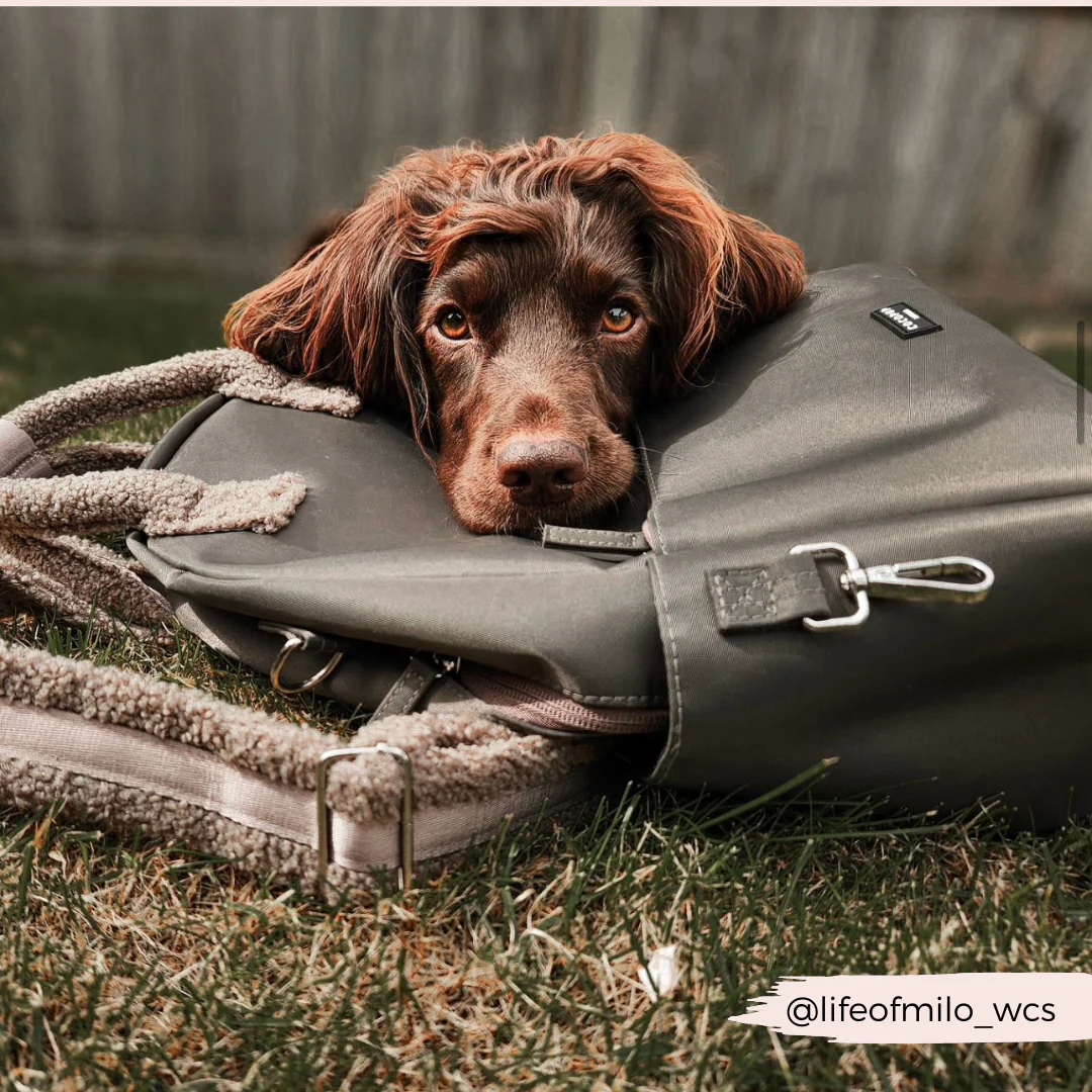 Backpack - Mocha - Image 8