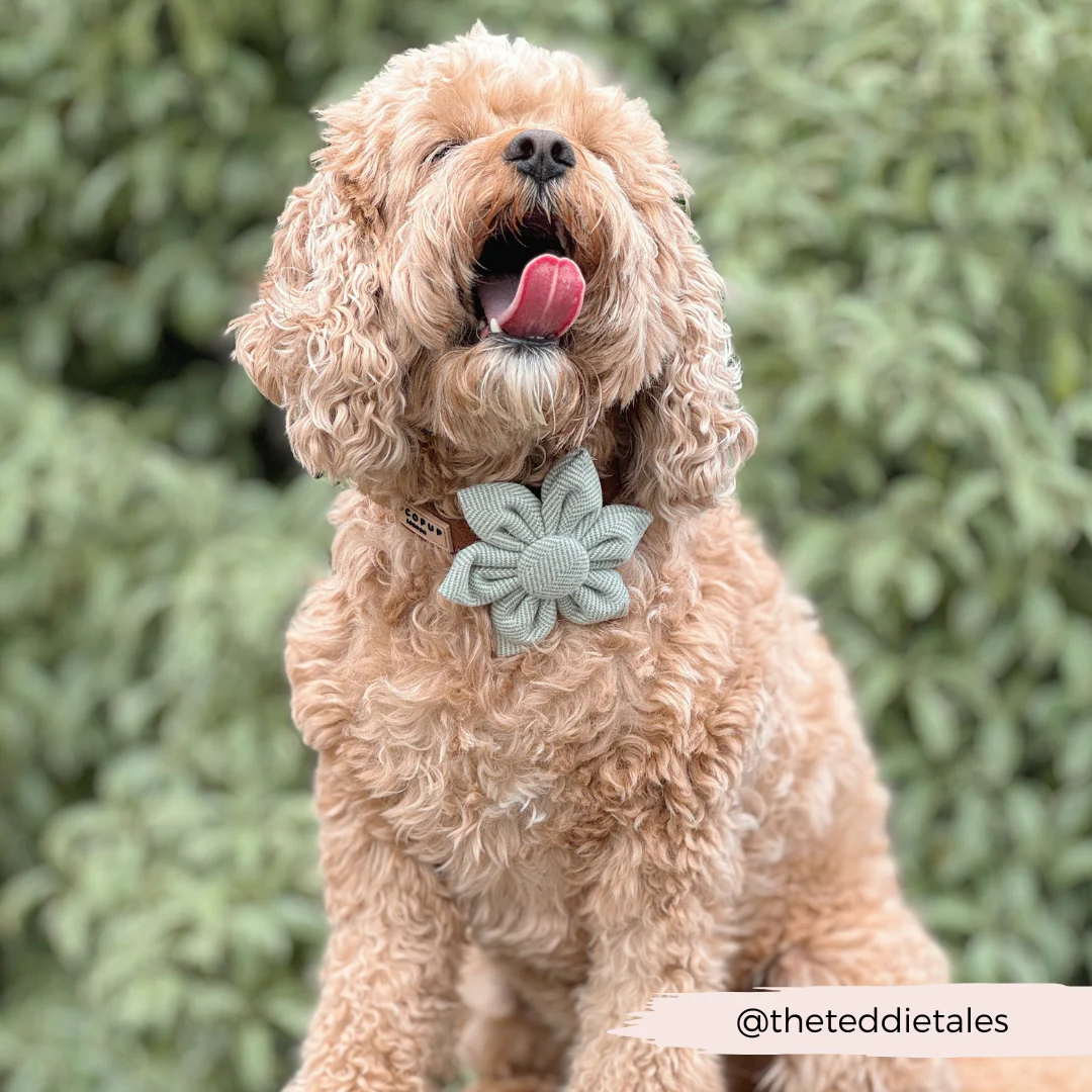 Sage Tweed Collar Flower - Image 4