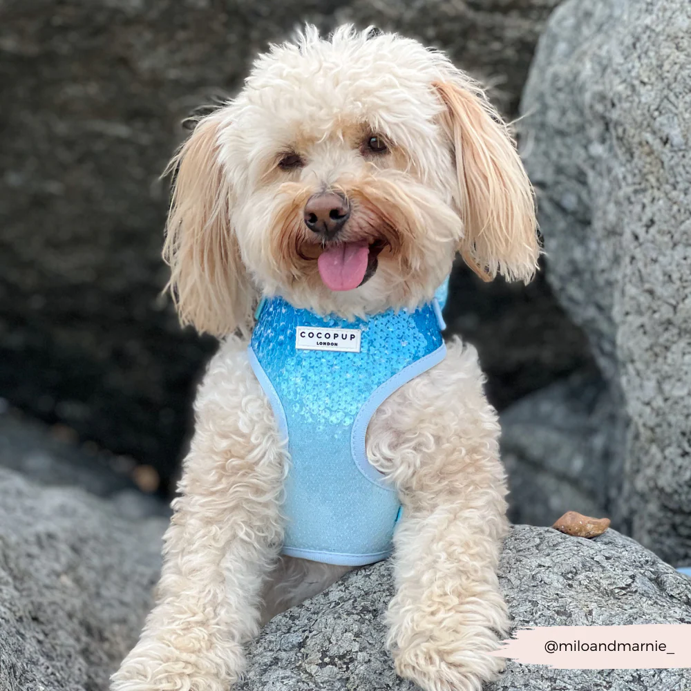 Seaside Shimmer Adjustable Neck HARNESS - Image 10