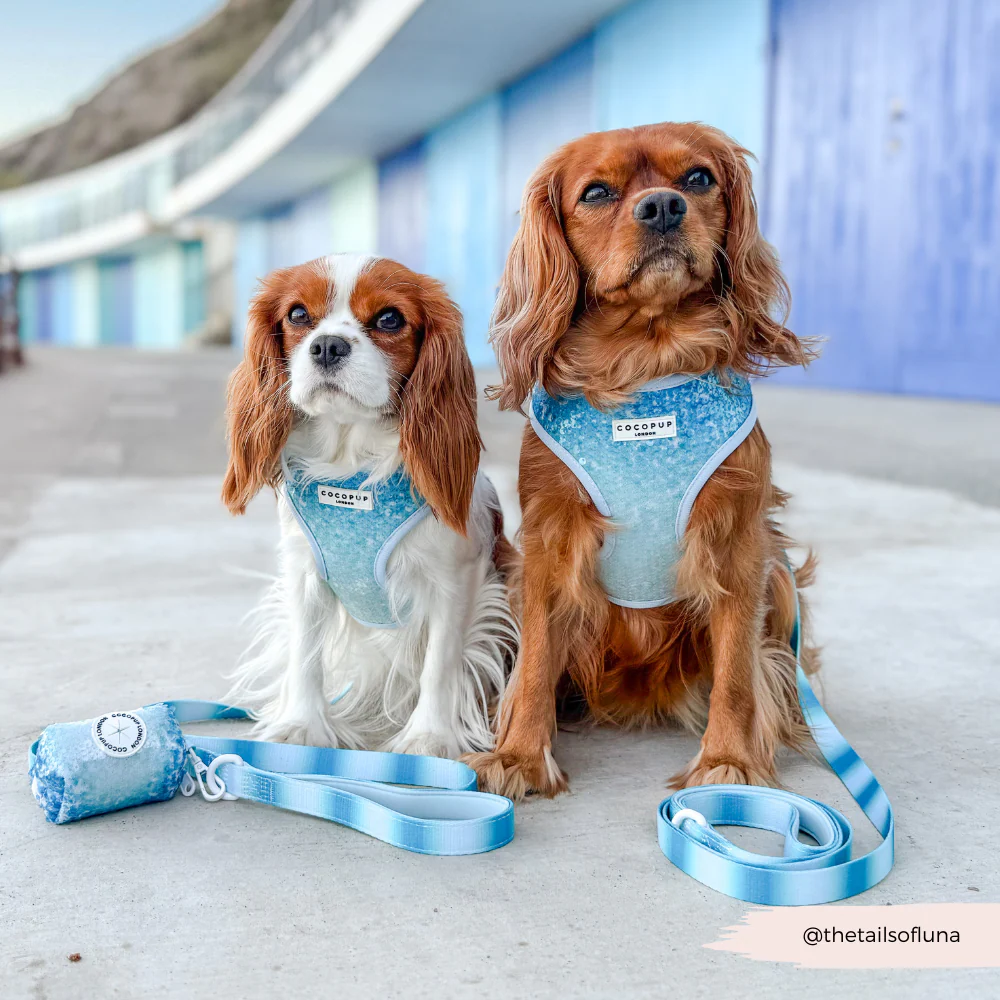 Seaside Shimmer Adjustable Neck HARNESS - Image 11
