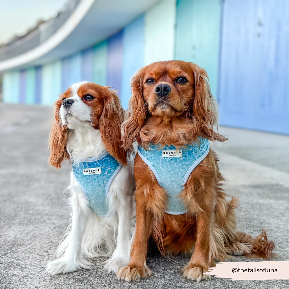 Seaside Shimmer Adjustable Neck HARNESS - Image 12