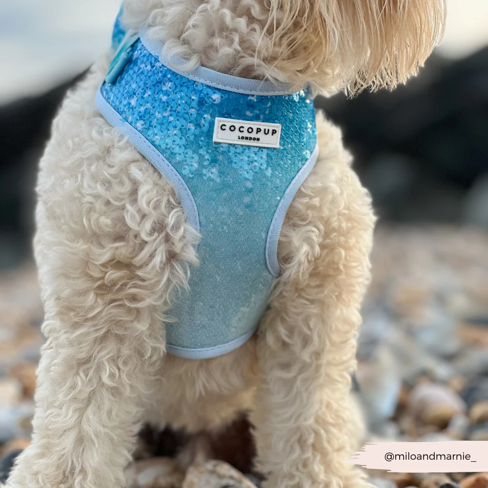 Seaside Shimmer Adjustable Neck HARNESS - Image 14