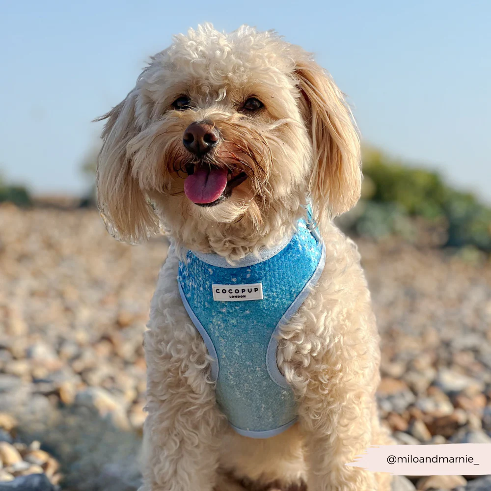 Seaside Shimmer Adjustable Neck HARNESS - Image 15