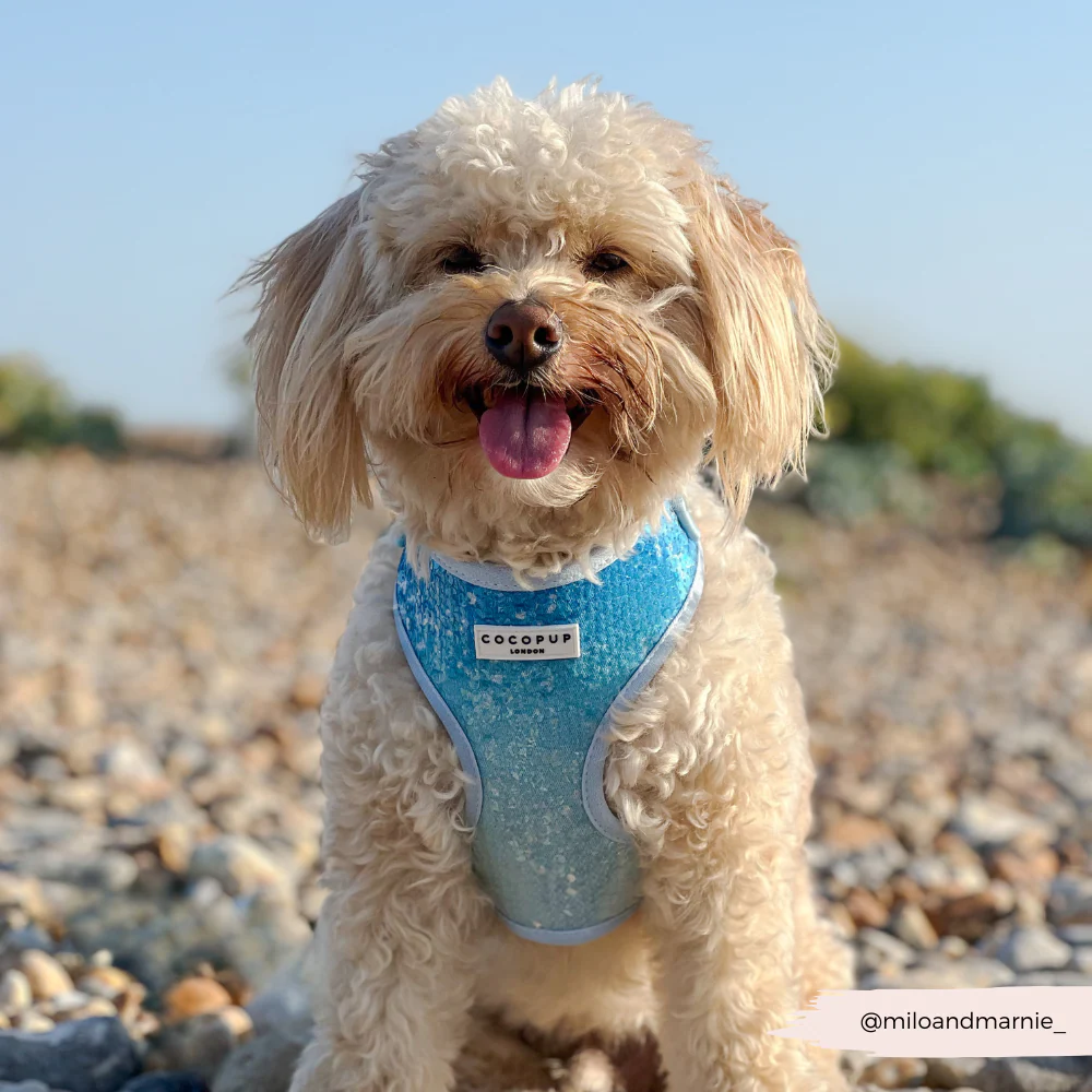 Seaside Shimmer Adjustable Neck HARNESS - Image 16