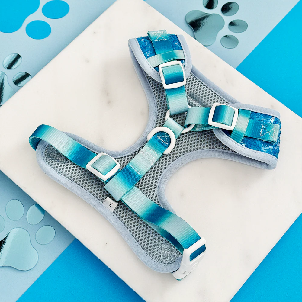 Seaside Shimmer Adjustable Neck HARNESS - Image 3