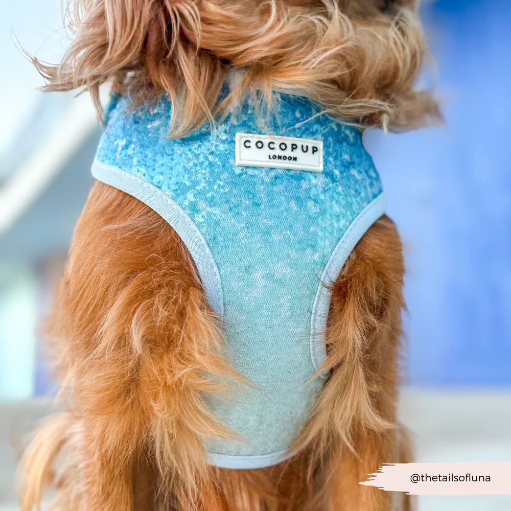 Seaside Shimmer Adjustable Neck HARNESS - Image 6