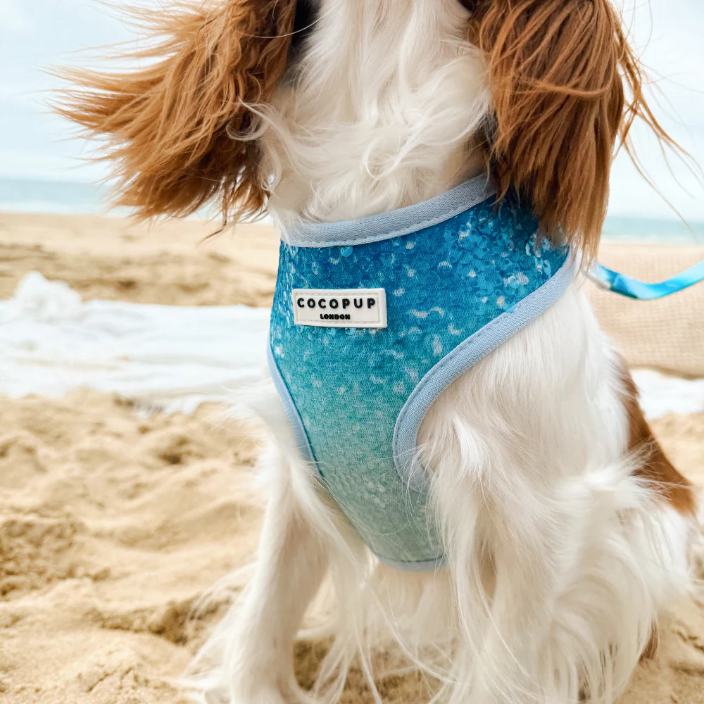 Seaside Shimmer Adjustable Neck HARNESS - Image 7