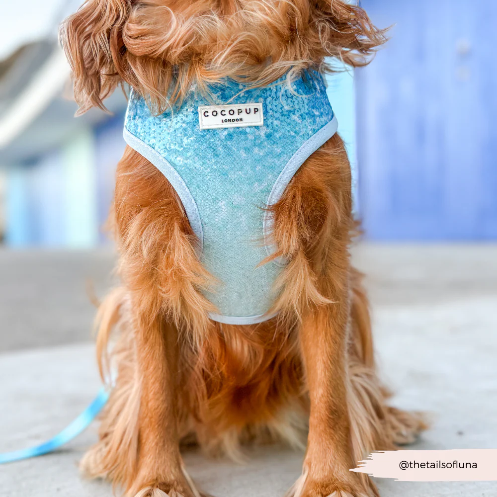 Seaside Shimmer Adjustable Neck HARNESS - Image 9