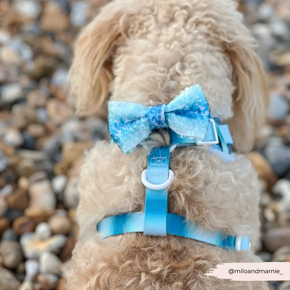 Seaside Shimmer Adjustable Neck HARNESS - Image 17