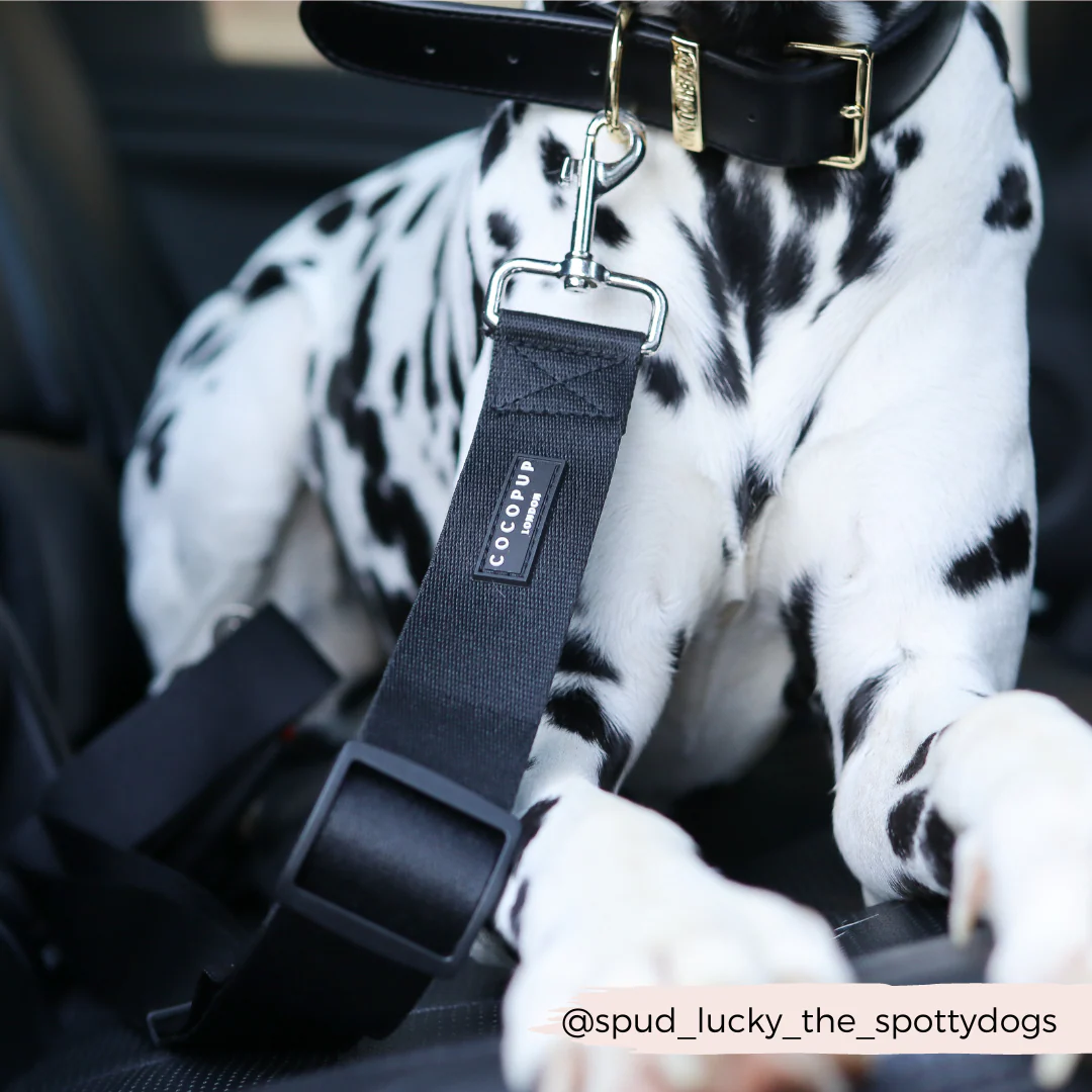 Seat Belt Restraint - Plain Black - Image 4