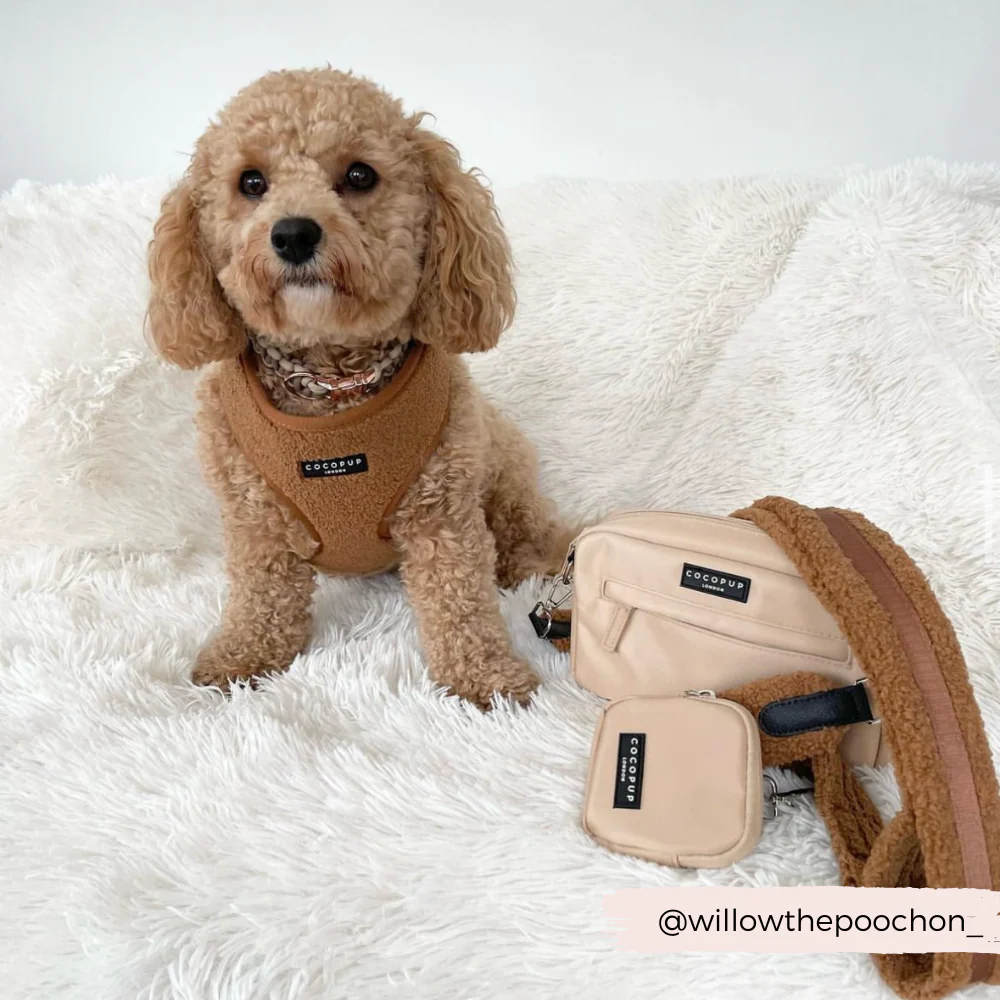 Teddy Adjustable Neck HARNESS - Paddington - Image 18