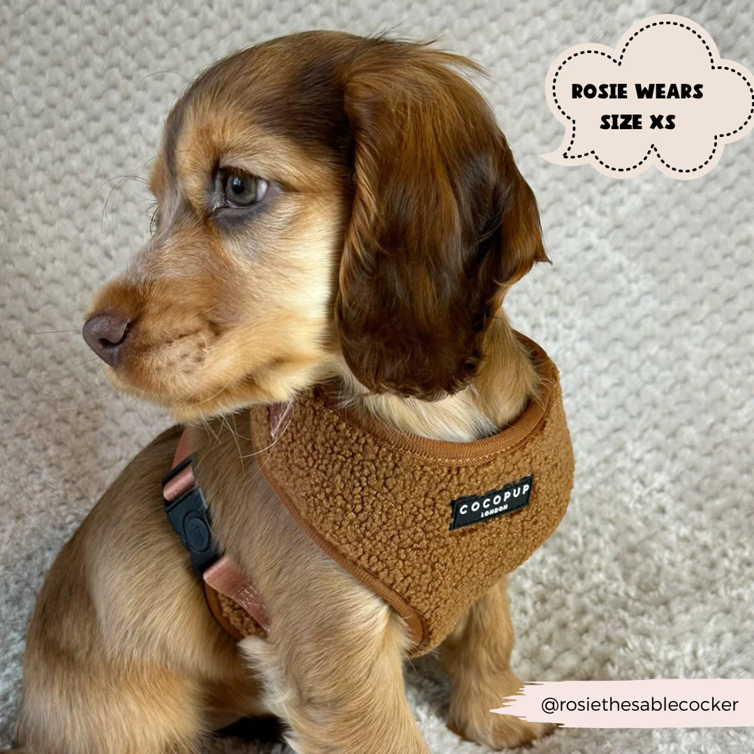 Teddy Adjustable Neck HARNESS - Paddington - Image 21