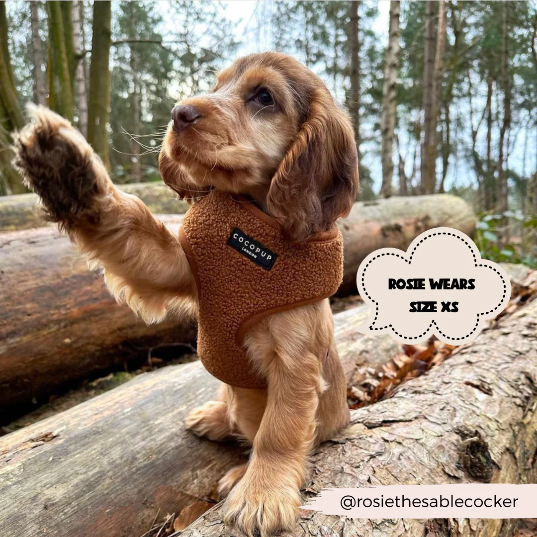 Teddy Adjustable Neck HARNESS - Paddington - Image 22
