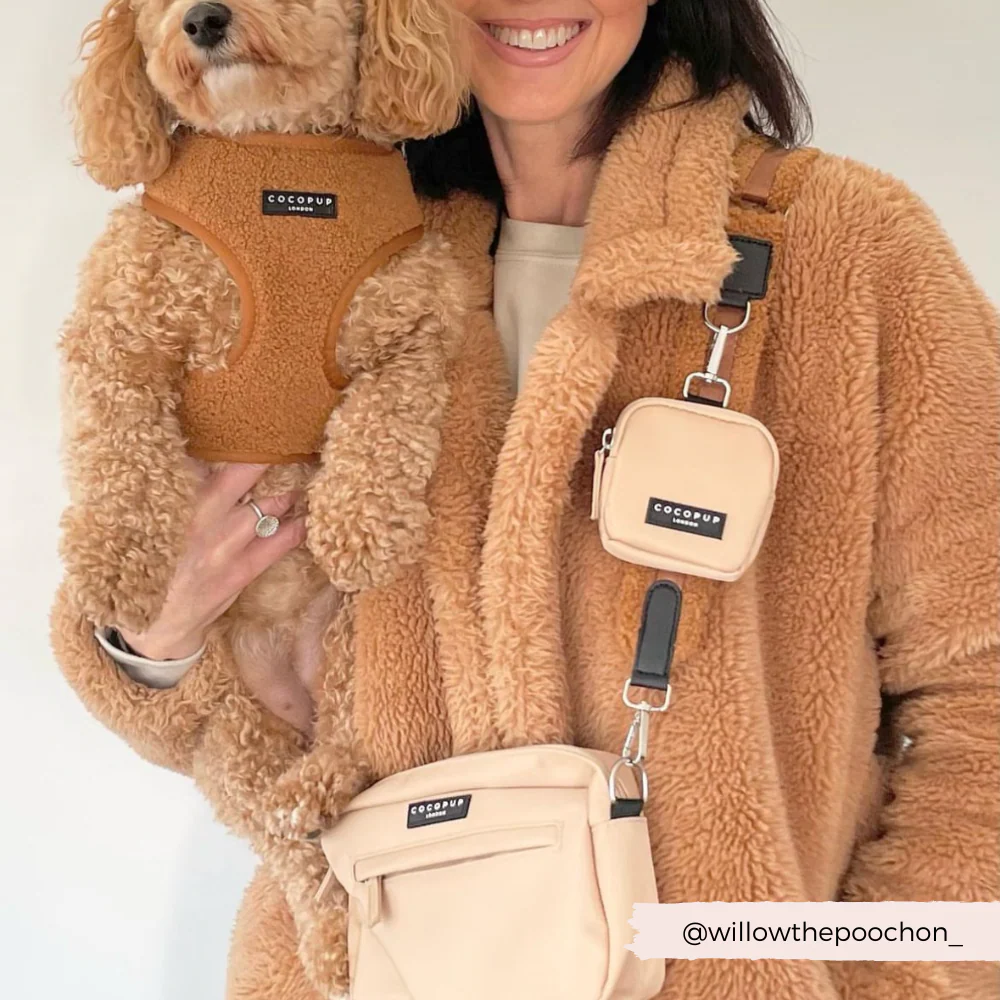 Teddy Adjustable Neck HARNESS - Paddington - Image 7