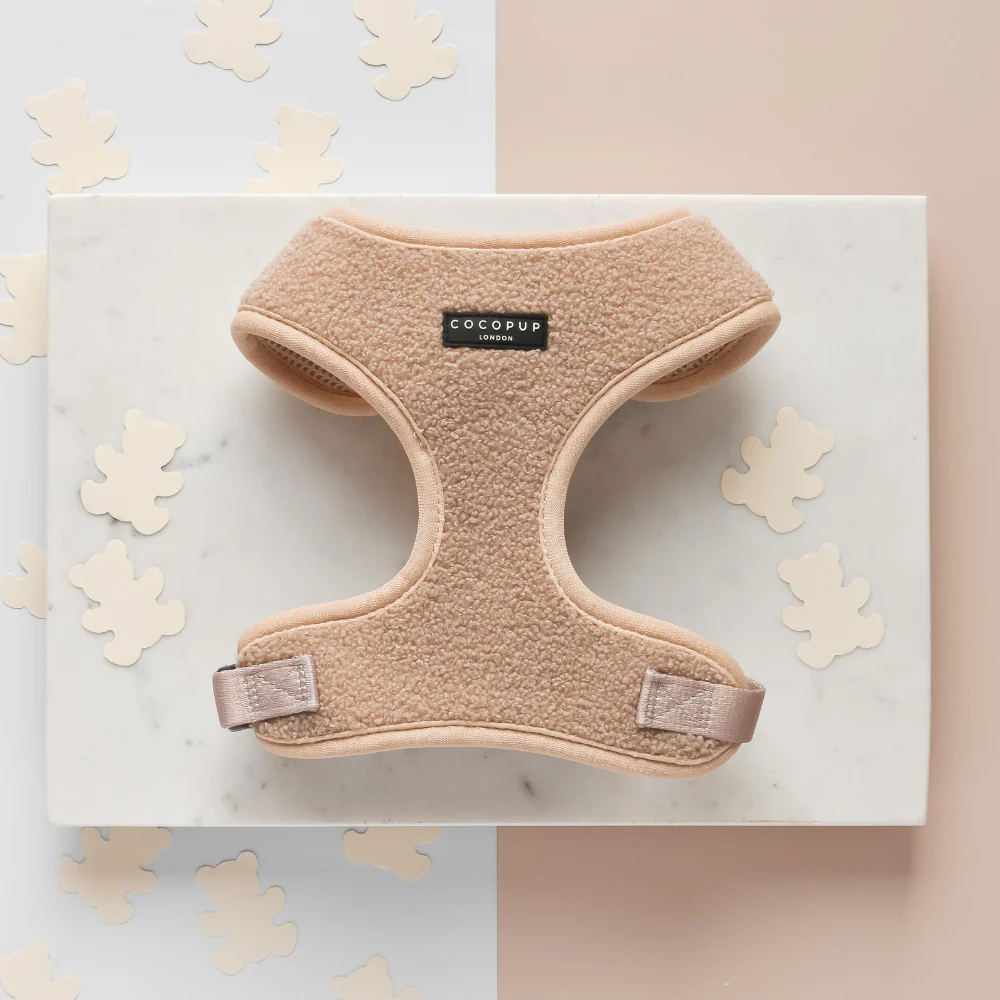 Teddy Adjustable Neck HARNESS - Rupert - Image 3