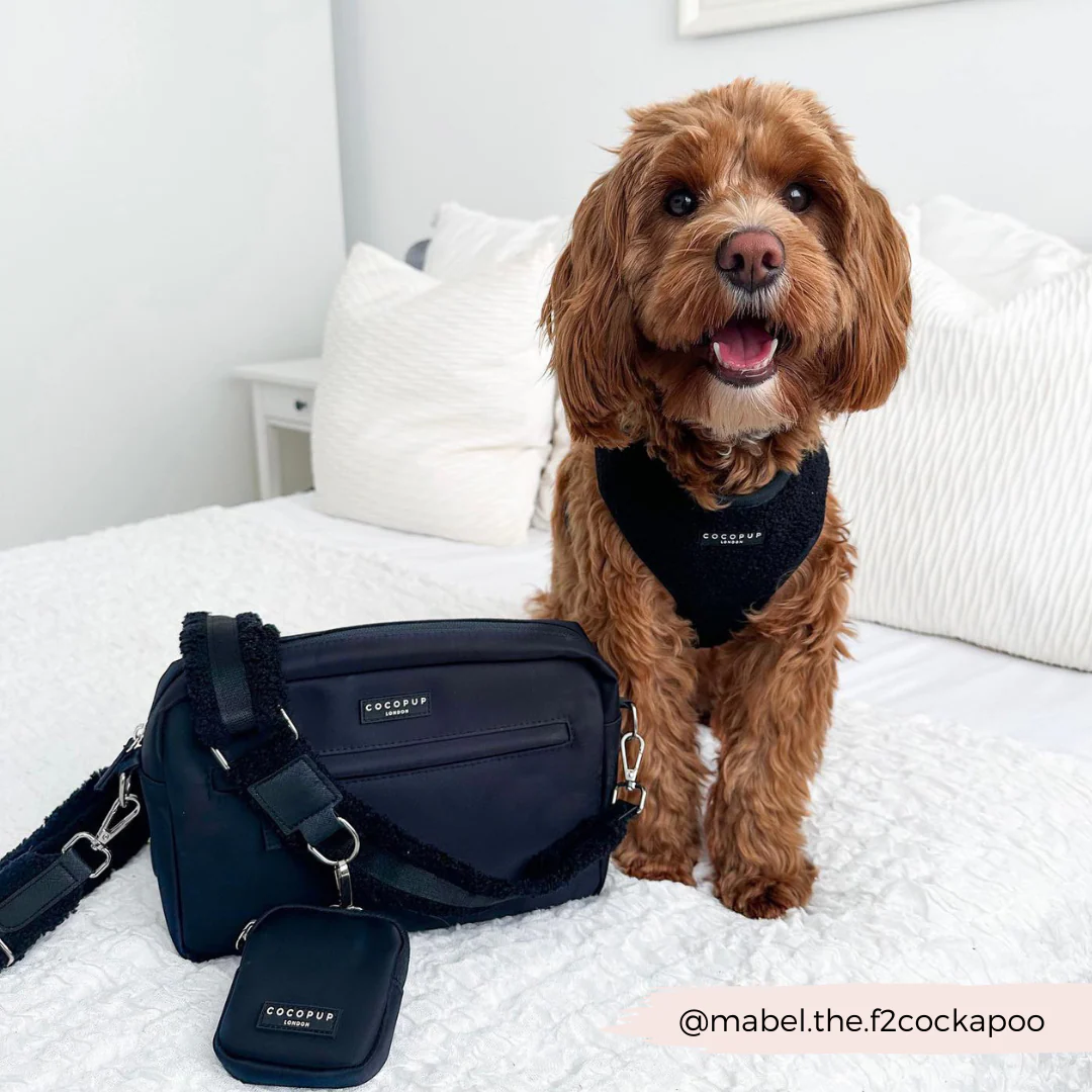 Teddy Bag Strap - Baloo - Image 5