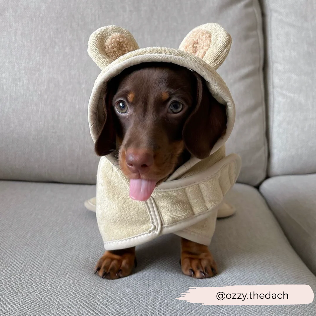 Teddy Drying Robe - Image 12