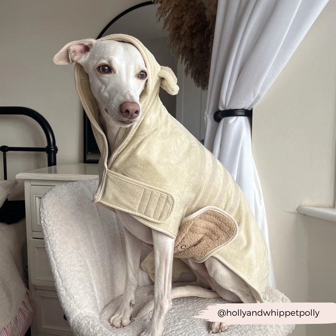 Teddy Drying Robe - Image 14