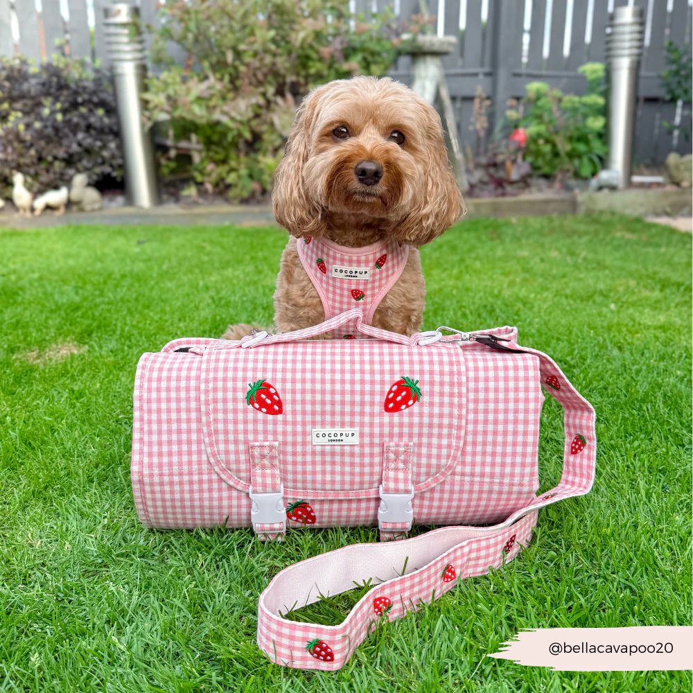 Travel Mat - Strawberry Picnic Pup - Image 10